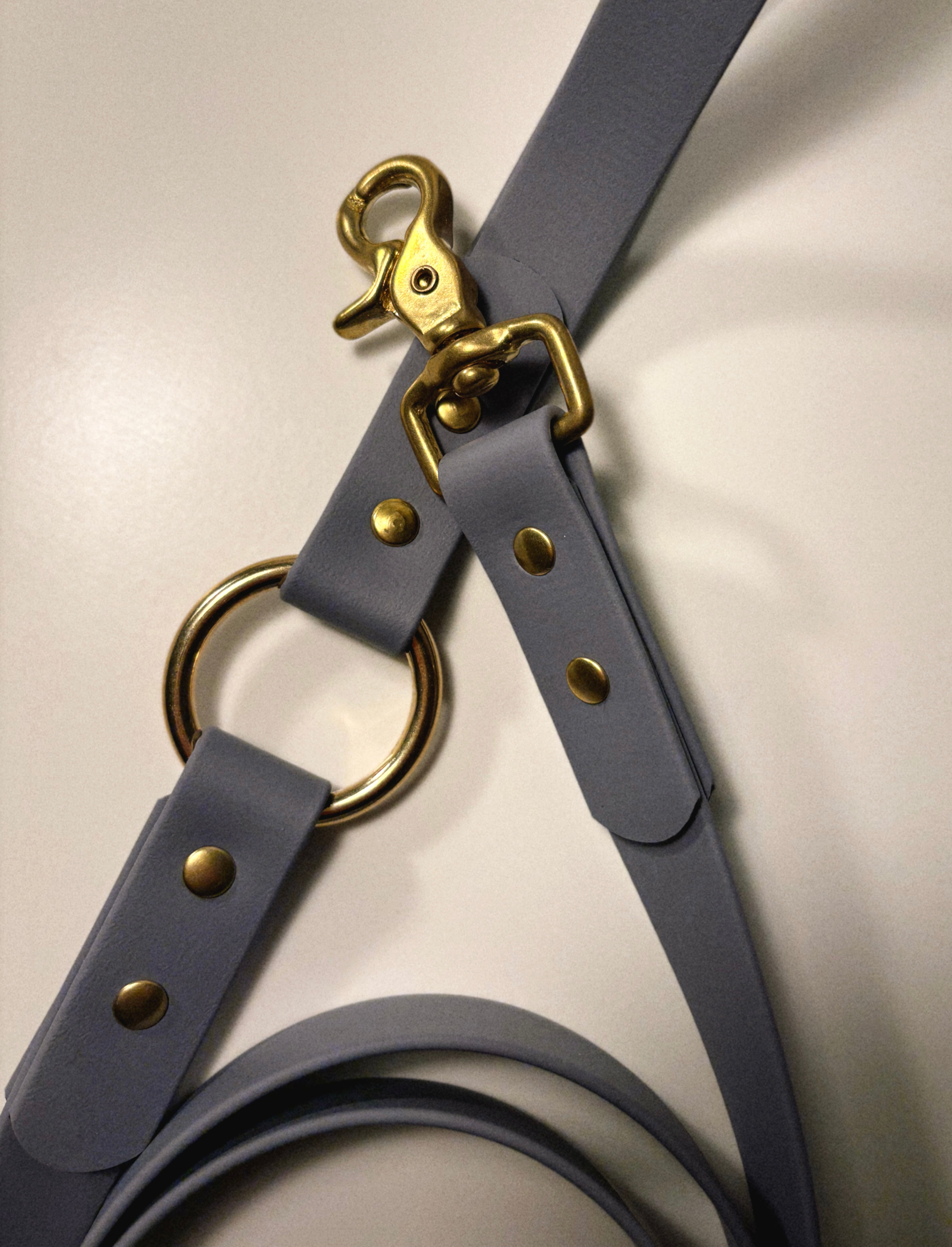How to Choose the Right Dog Leash for Everyday Walks