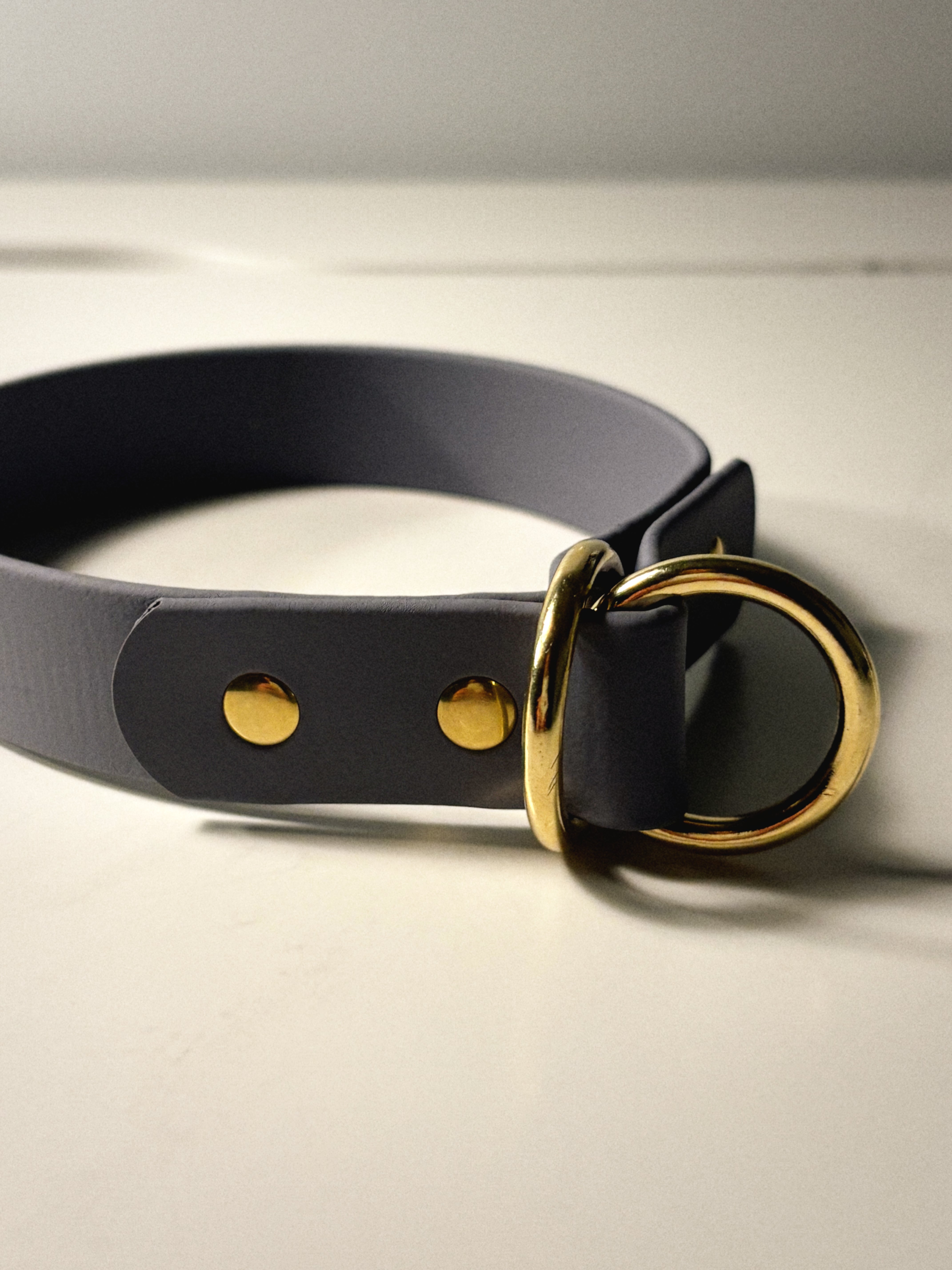 Collar vs Harness: What’s Better for Walking Your Dog?