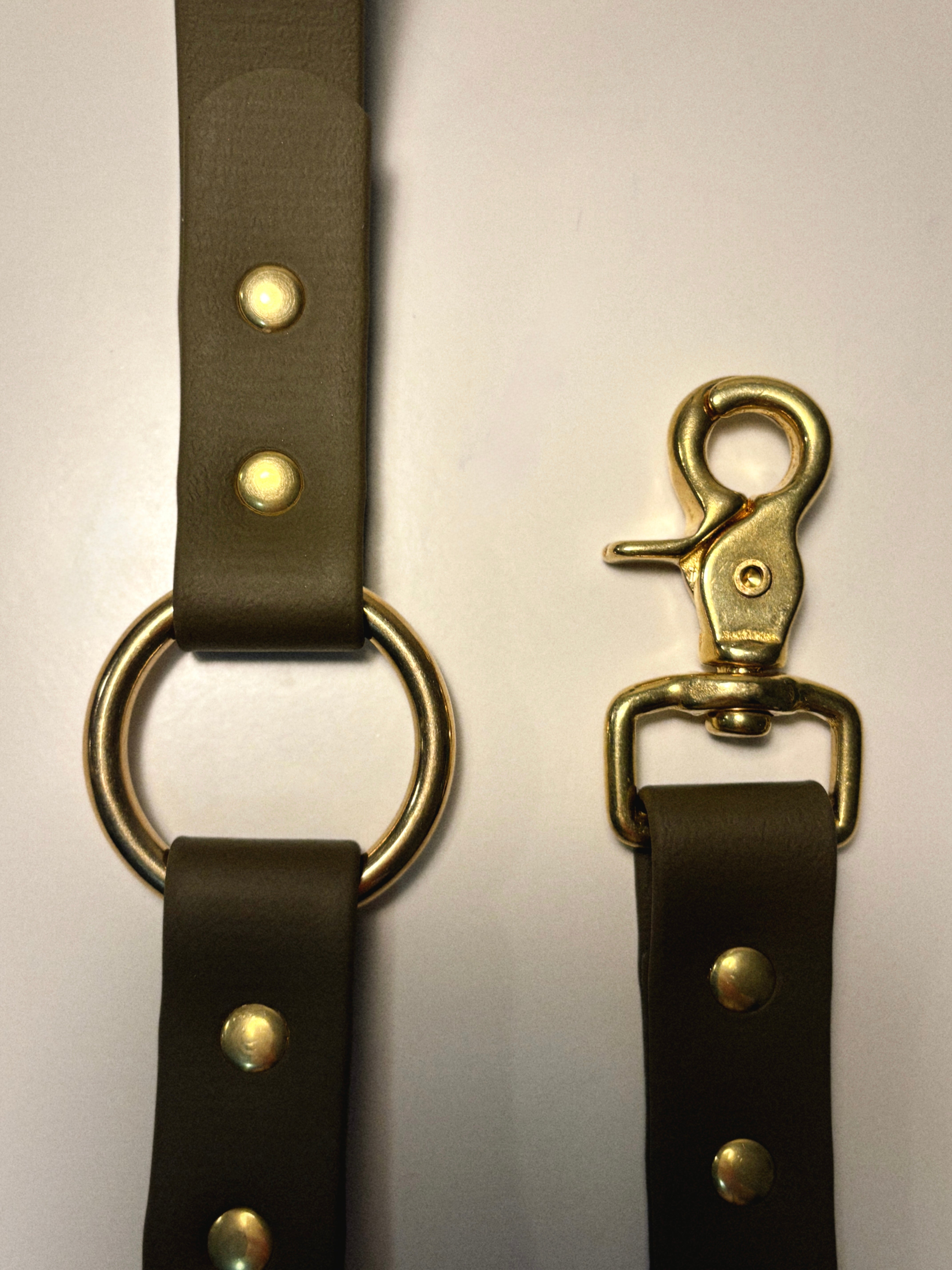 the olive O-leash
